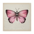 thumbnail image 1 of Trademark Fine Art 'Butterfly Study IV' Canvas Art by Melissa Wang, 1 of 4