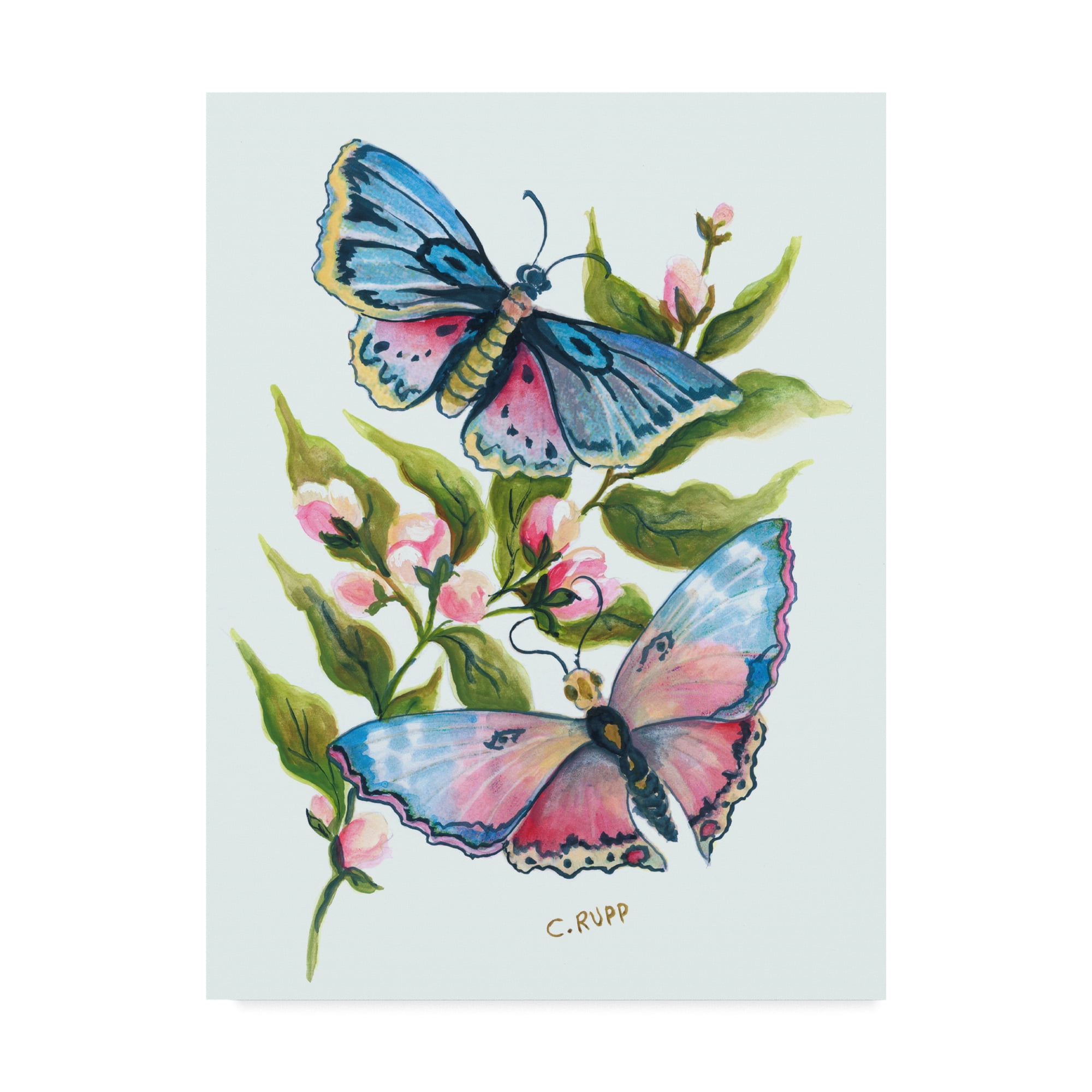 Trademark Fine Art 'Butterfly in Pink and Blue' Canvas Art by Carol J Rupp