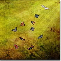 Trademark Fine Art "Butterfly in the Sky" Canvas Wall Art by Lois Bryan