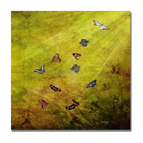 Trademark Fine Art "Butterfly in the Sky" Canvas Wall Art by Lois Bryan