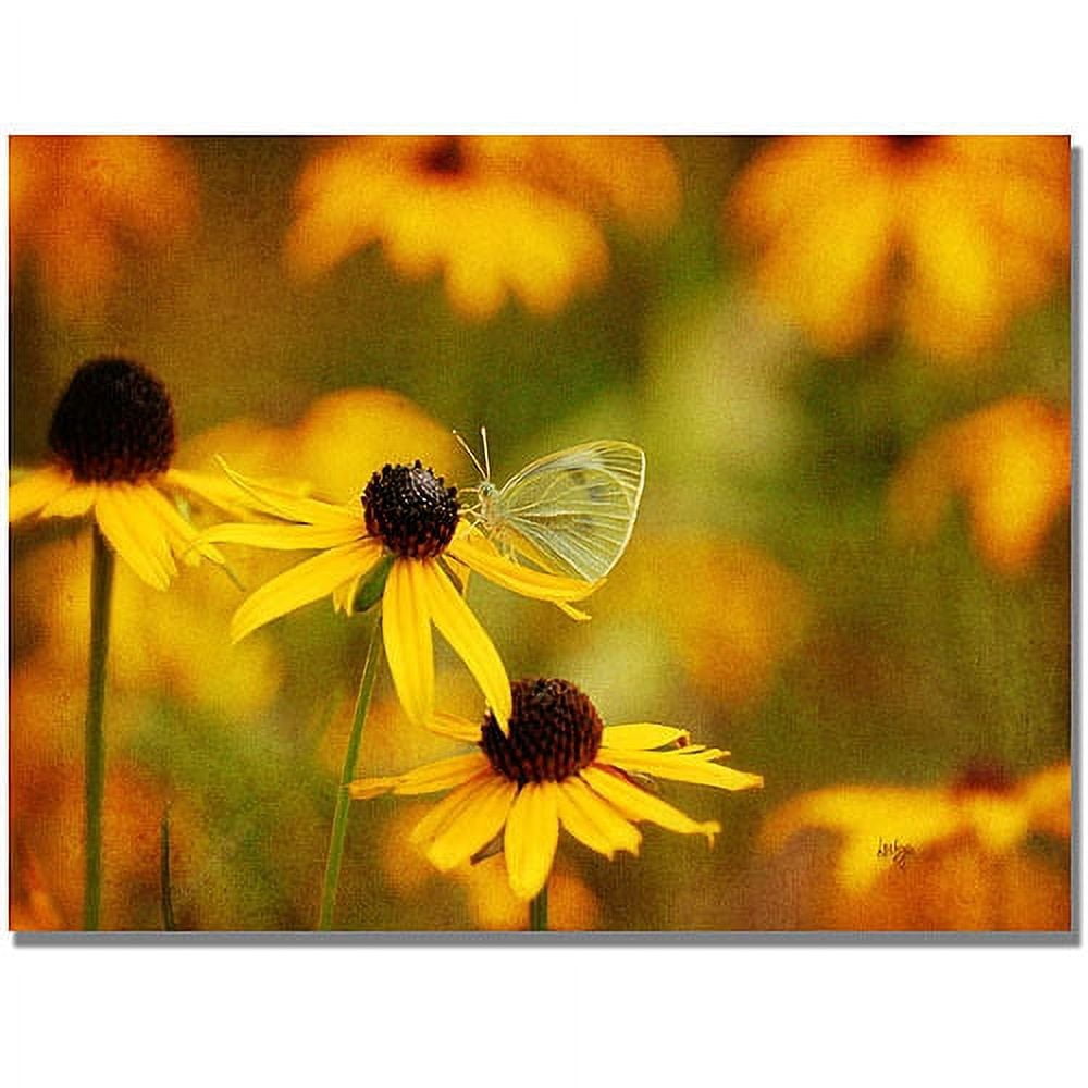 Trademark Fine Art "Butterfly on a Flower" Canvas Wall Art by Lois Bryan