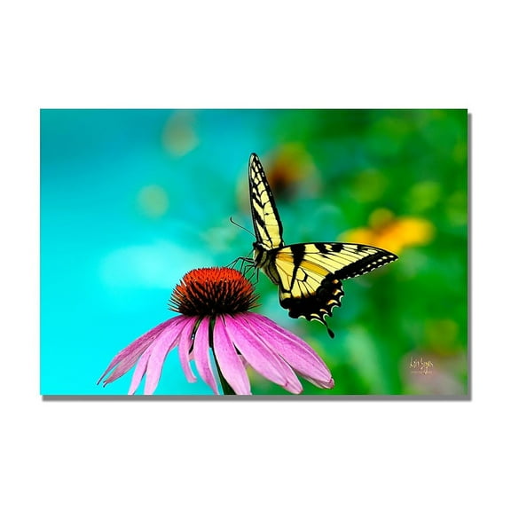 Trademark Fine Art "Butterfly on the Edge" Canvas Wall Art by Lois Bryan