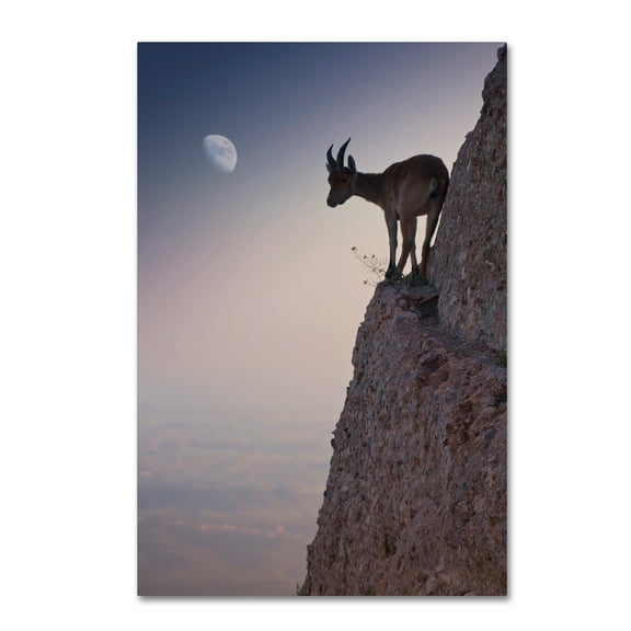 Trademark Fine Art 'By A Bouquet Of Flowers' Canvas Art by Renato J. Lopez