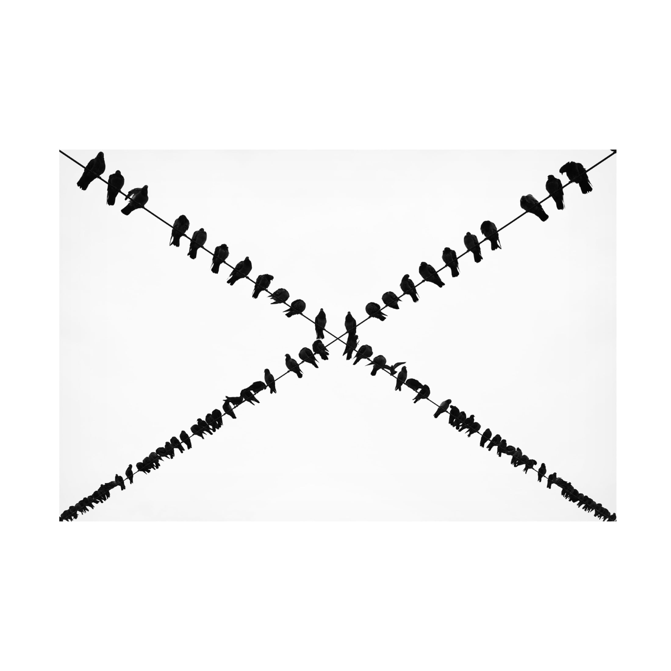 Trademark Fine Art ByKammille Ayer X Canvas Wall Art