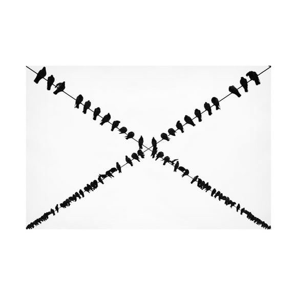 Trademark Fine Art ByKammille Ayer X Canvas Wall Art