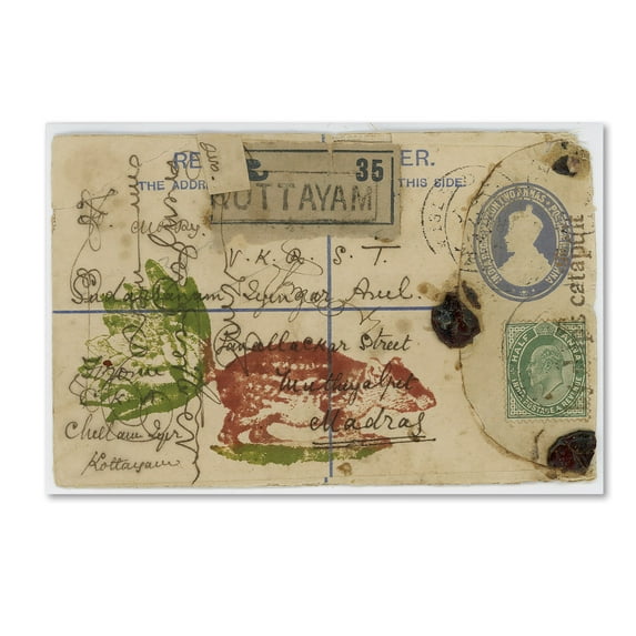 Trademark Fine Art 'Cabbagetail' Canvas Art by Nick Bantock