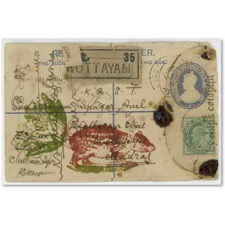 Trademark Fine Art 'Cabbagetail' Canvas Art by Nick Bantock