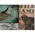 thumbnail image 1 of Trademark Fine Art "Cabela II" Canvas Art by Color Bakery, 1 of 3