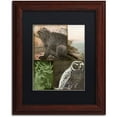 thumbnail image 1 of Trademark Fine Art "Cabela III" Canvas Art by Color Bakery Black Matte, Wood Frame, 1 of 4