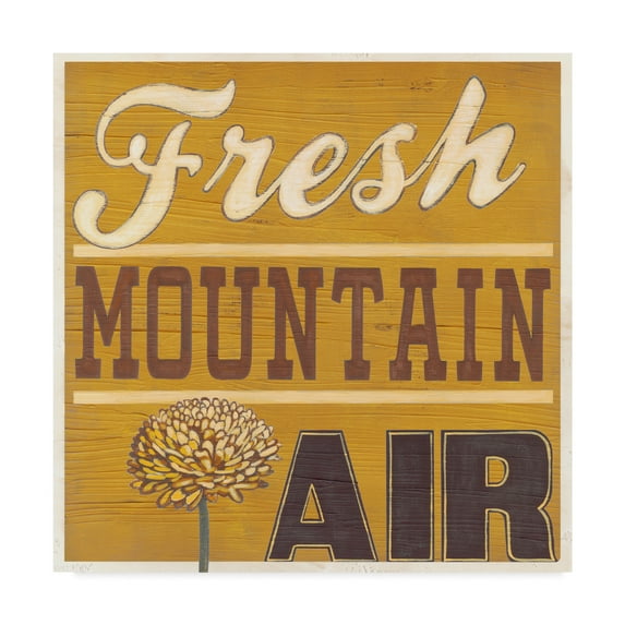 Trademark Fine Art 'Cabin Life IV' Canvas Art by June Erica Vess