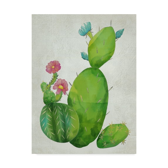 Trademark Fine Art 'Cacti Collection I' Canvas Art by Chariklia Zarris