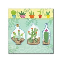 Trademark Fine Art 'Cacti Garden I no Birds' Canvas Art by Farida Zaman