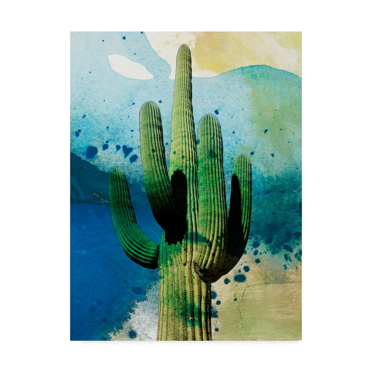 Trademark Fine Art 'Cactus Abstract' Canvas Art by Sisa Jasper