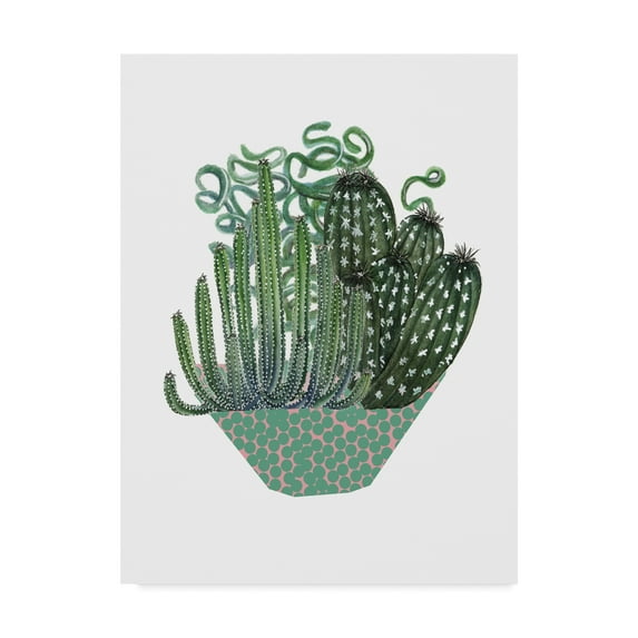 Trademark Fine Art 'Cactus Arrangement II' Canvas Art by Melissa Wang