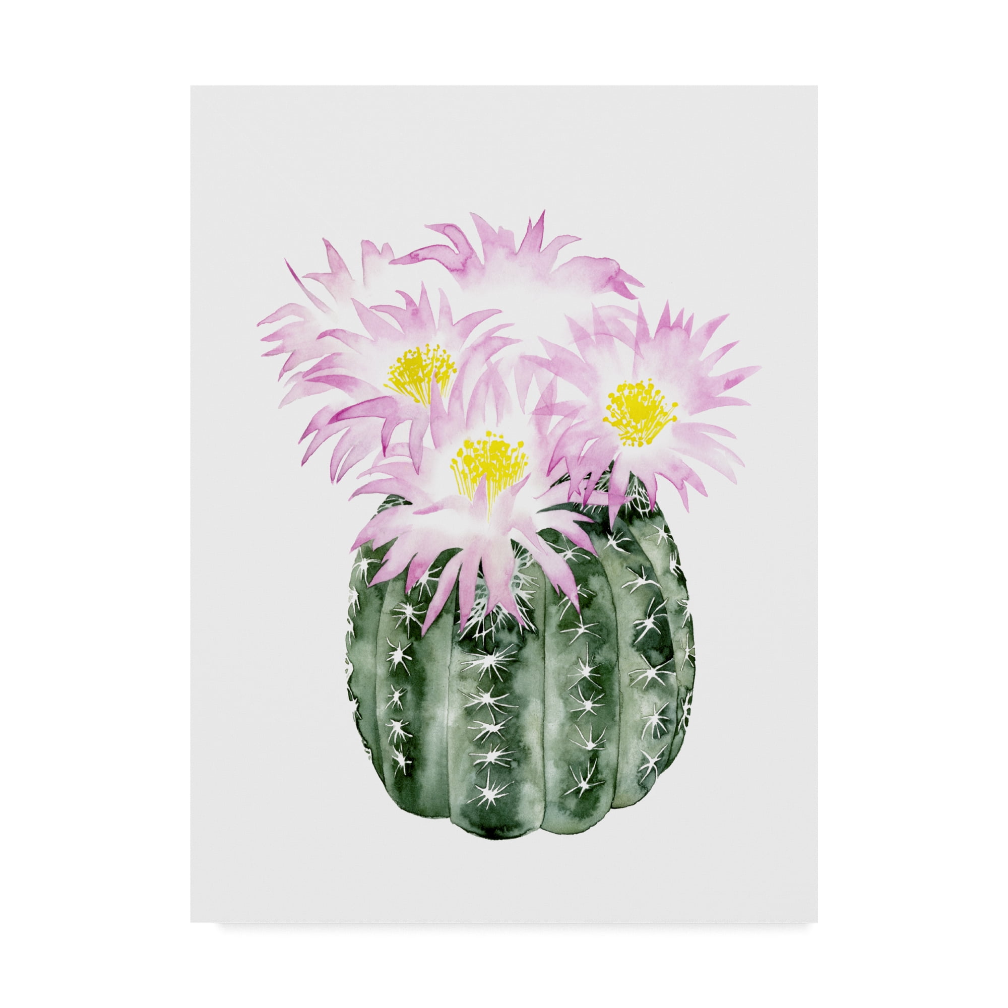 Grace Popp Green and Pink Floral Cactus Canvas Art