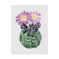 thumbnail image 1 of Trademark Fine Art 'Cactus Bloom IV' Canvas Art by Grace Popp, 1 of 4