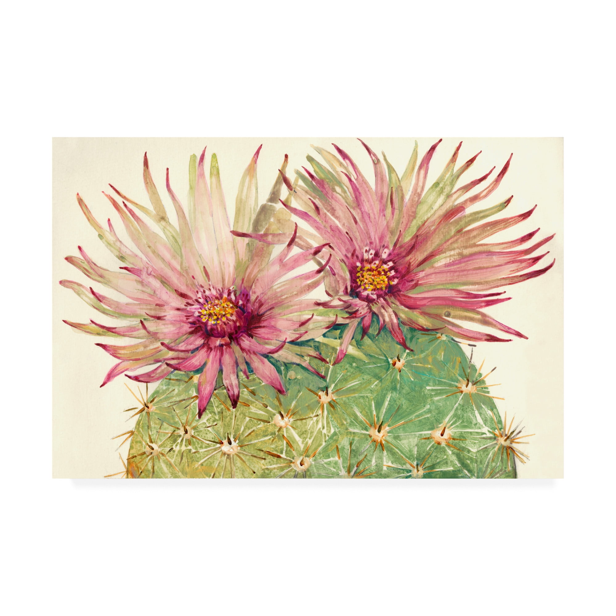 Tim OToole Cactus Blossoms Pink and Green Canvas Art