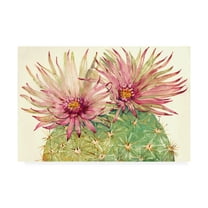 Trademark Fine Art 'Cactus Blossoms I' Canvas Art by Tim OToole