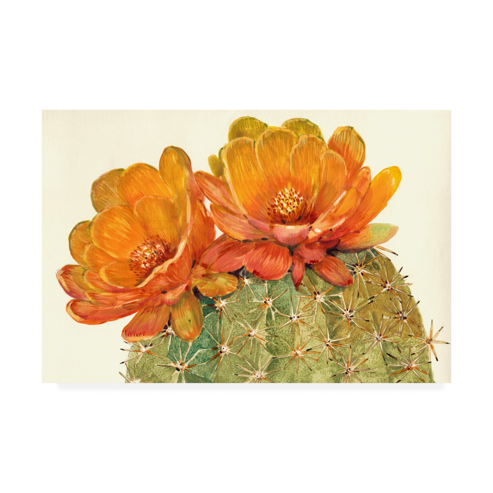 Orange and Green Floral Cactus Canvas Art Print