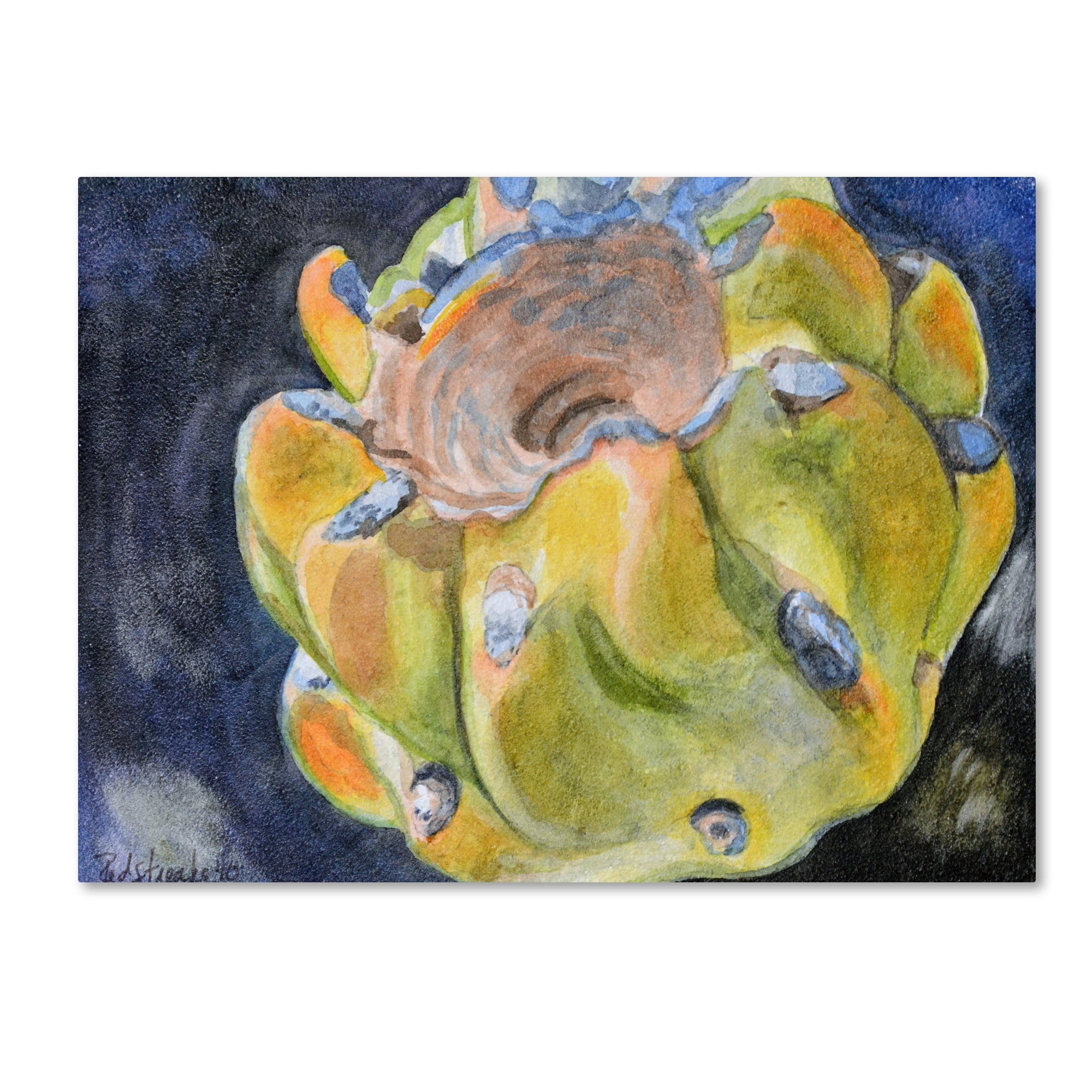 Trademark Fine Art "Cactus Fruit" Canvas Art by Jennifer Redstreake