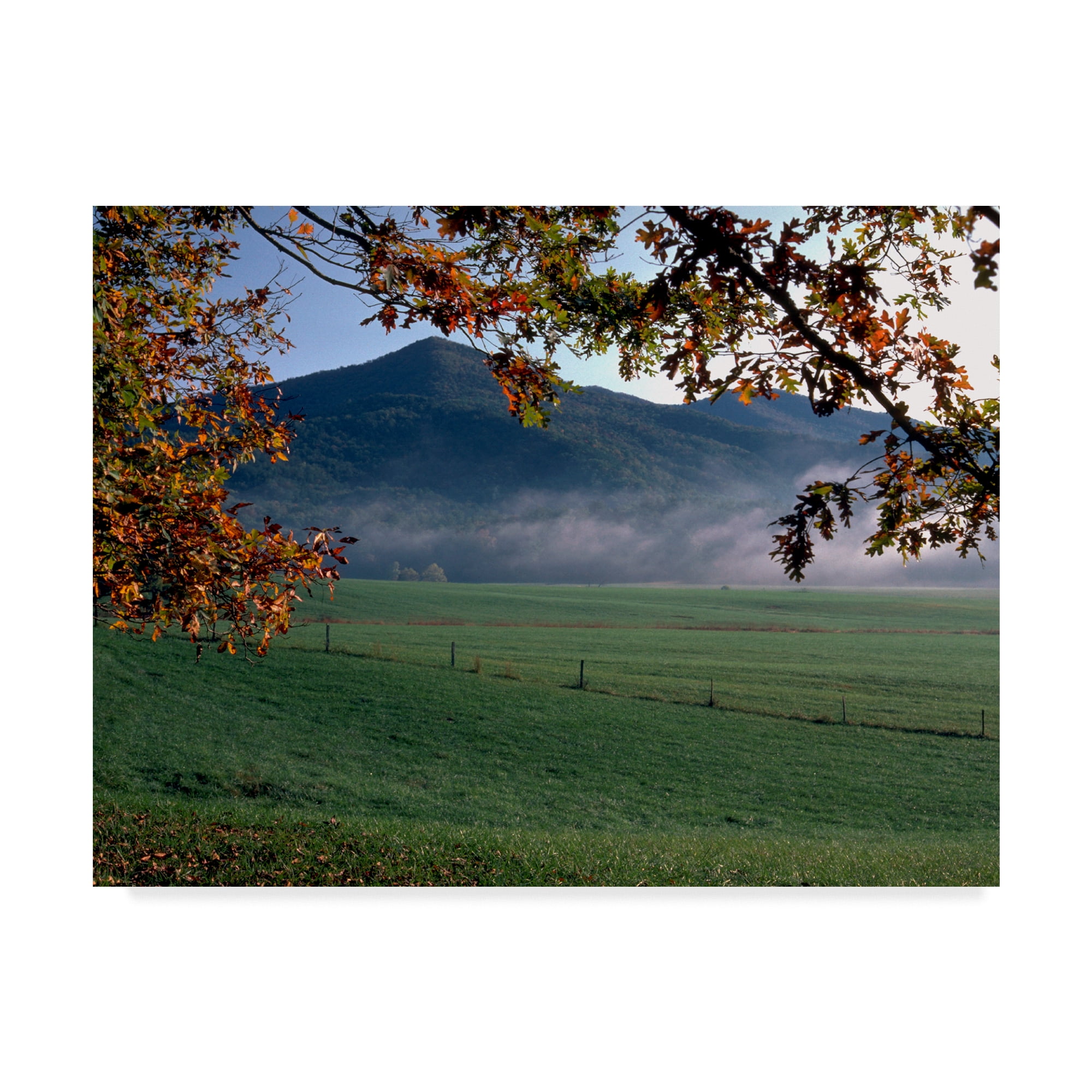 Trademark Fine Art 'Cades Cove' Canvas Art by J.D. Mcfarlan