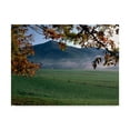 thumbnail image 1 of Trademark Fine Art 'Cades Cove' Canvas Art by J.D. Mcfarlan, 1 of 3