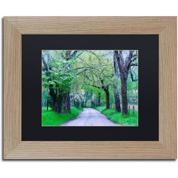 Trademark Fine Art "Cades Cove Lane" Canvas Art by Michael Blanchette Photography Black Matte, Birch Frame