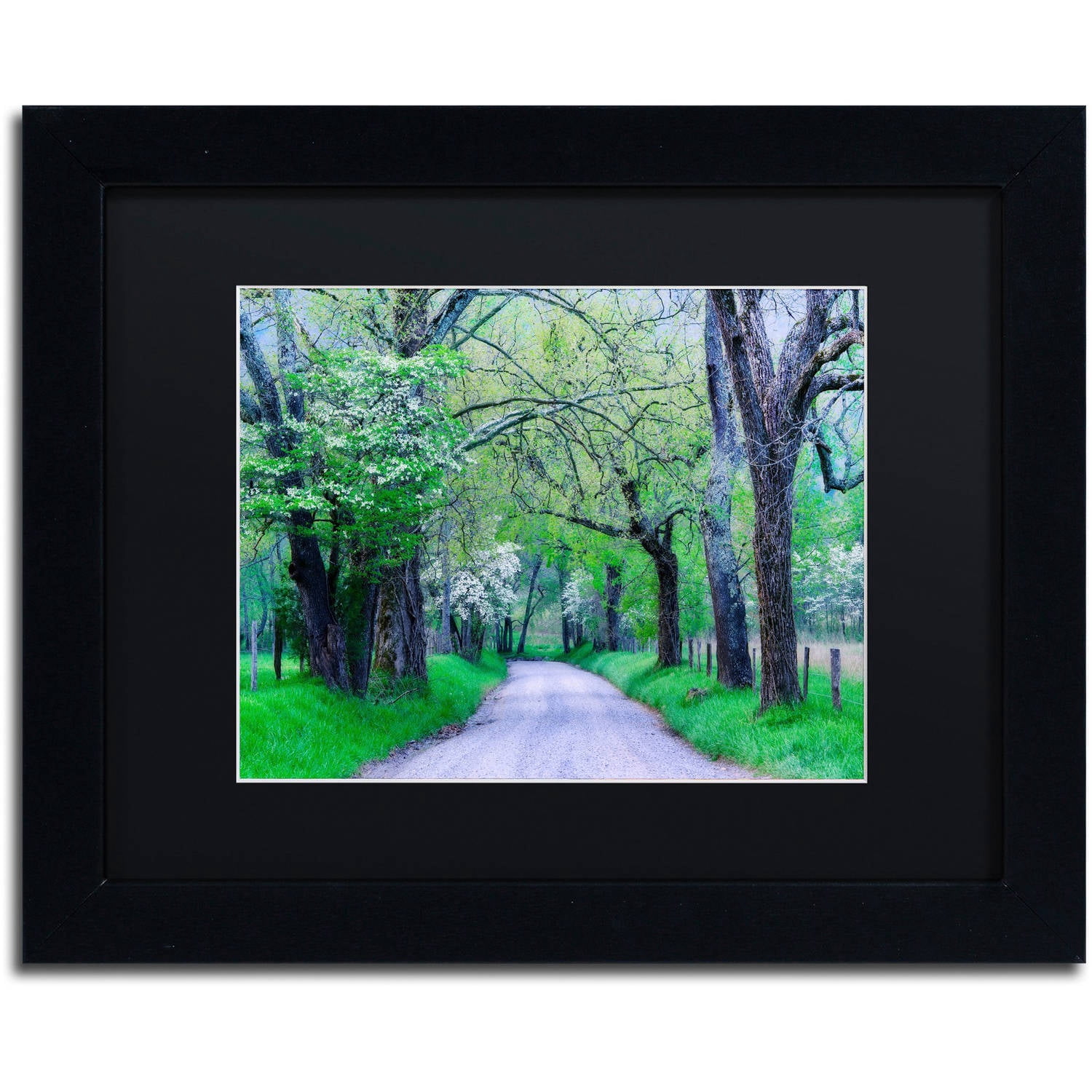 Trademark Fine Art "Cades Cove Lane" Canvas Art by Michael Blanchette Photography Black Matte, Black Frame