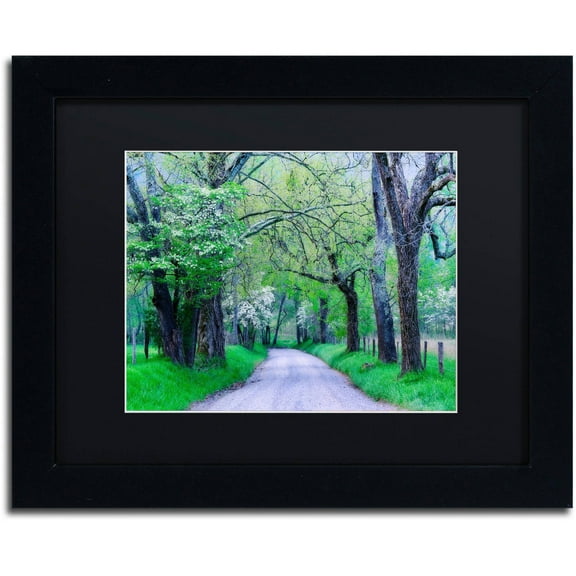 Trademark Fine Art "Cades Cove Lane" Canvas Art by Michael Blanchette Photography Black Matte, Black Frame