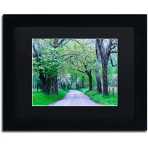 Trademark Fine Art "Cades Cove Lane" Canvas Art by Michael Blanchette Photography Black Matte, Black Frame