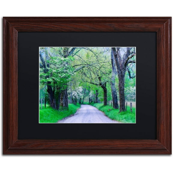 Trademark Fine Art "Cades Cove Lane" Canvas Art by Michael Blanchette Photography Black Matte, Wood Frame