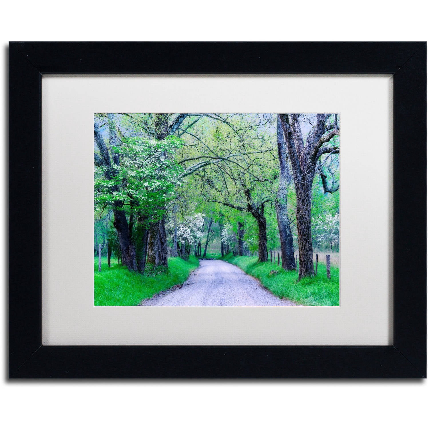 Trademark Fine Art "Cades Cove Lane" Canvas Art by Michael Blanchette Photography White Matte, Black Frame