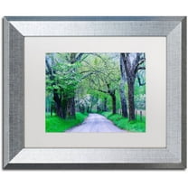 Trademark Fine Art "Cades Cove Lane" Canvas Art by Michael Blanchette Photography White Matte, Silver Frame