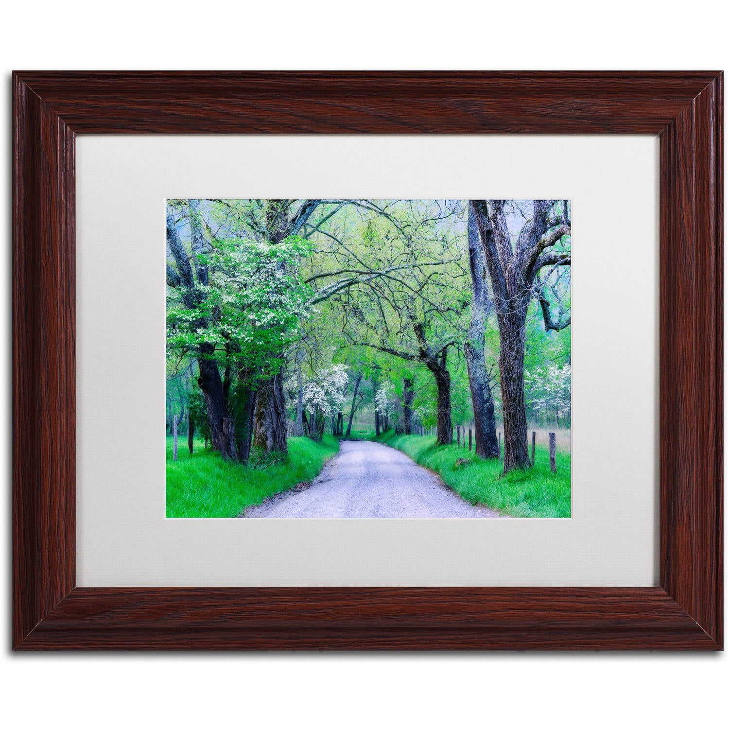 Trademark Fine Art "Cades Cove Lane" Canvas Art by Michael Blanchette Photography White Matte, Wood Frame