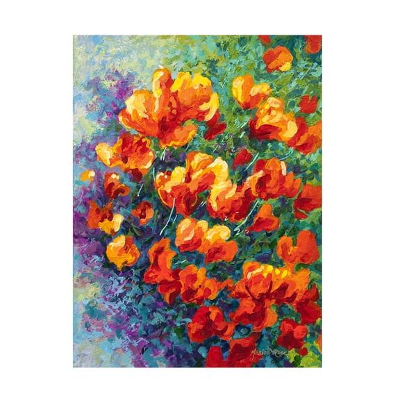 Trademark Fine Art Marion Rose Cal Poppies Canvas Wall Art - 14x19
