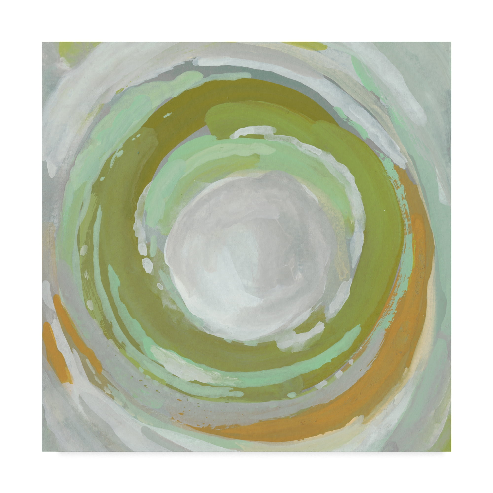 Trademark Fine Art 'Calculus I' Canvas Art by Chariklia Zarris