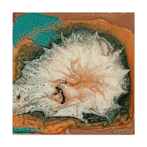 Trademark Fine Art 'Caldera I' Canvas Art by Alicia Ludwig