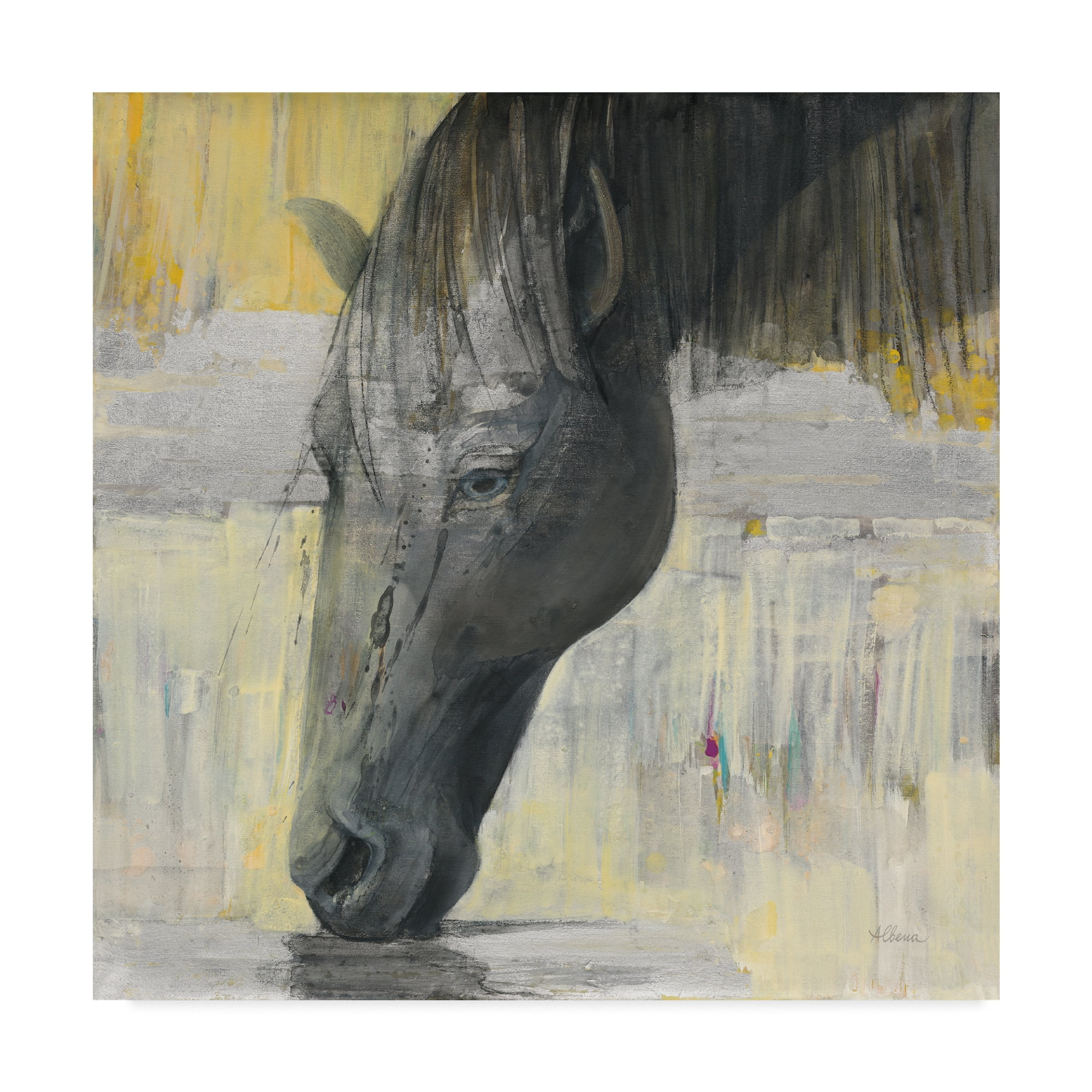 Trademark Fine Art 'Caleb Grey and Yellow' Canvas Art by Albena Hristova