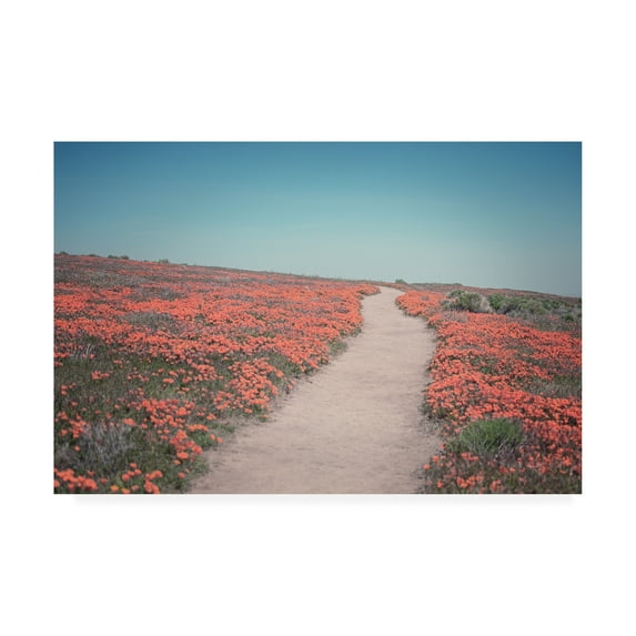 Trademark Fine Art 'California Blooms IV' Canvas Art by Elizabeth Urquhart