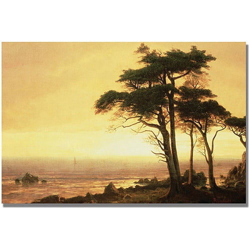 Trademark Fine Art "California Coast" Canvas Art by Albert Biersdant