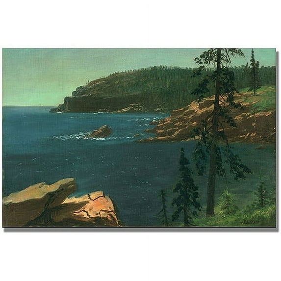 Trademark Fine Art "California Coast II" Canvas Art by Albert Biersdant