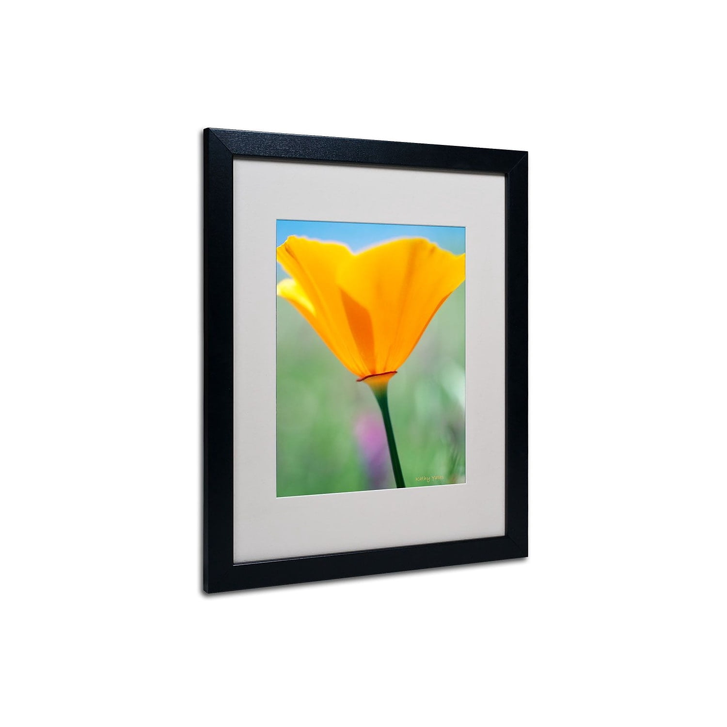 Trademark Fine Art 'California Poppy Closeup' 16" x 20" Black Frame Art (KY0031-B1620MF)