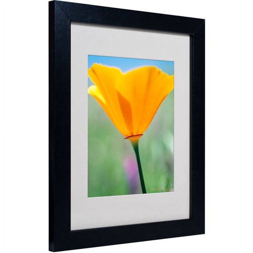 Trademark Fine Art "California Poppy Closeup" Matted Framed Canvas Art by Kathy Yates