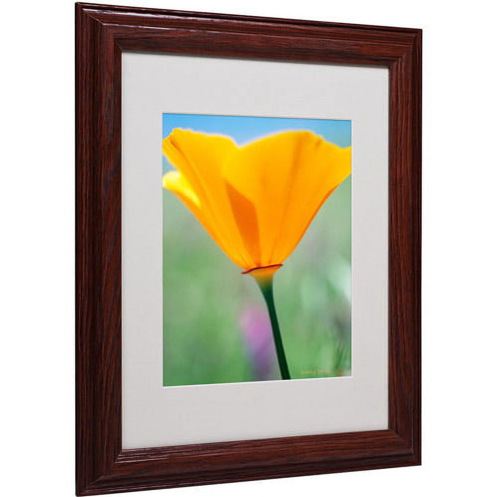 Trademark Fine Art "California Poppy Closeup" Matted Framed Canvas Art by Kathy Yates