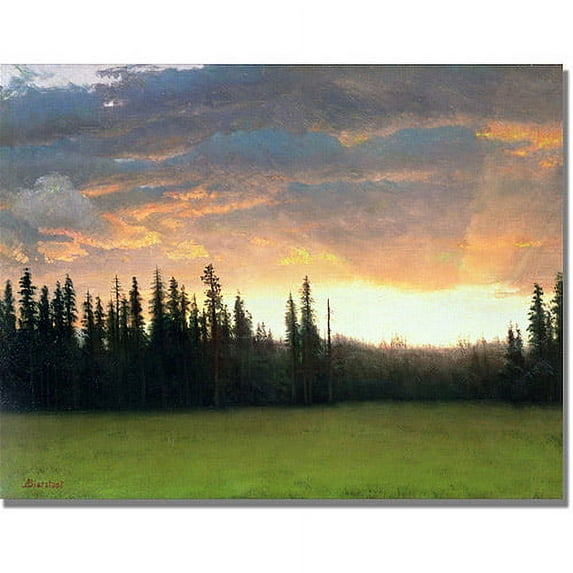 Trademark Fine Art "California Sunset II" Canvas Art by Albert Biersdant