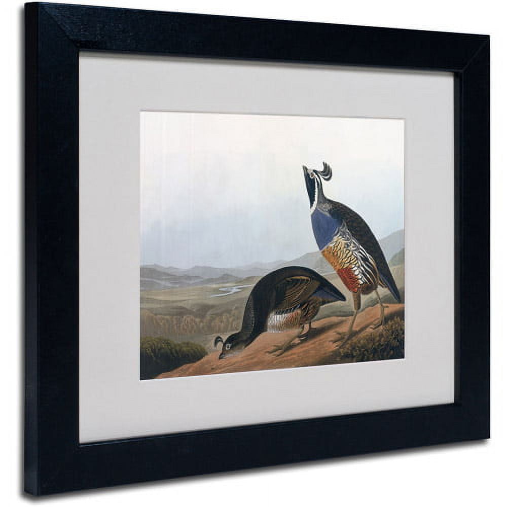 Trademark Fine Art "Californian Partridge" Canvas Art by John James Audubon, Black Frame