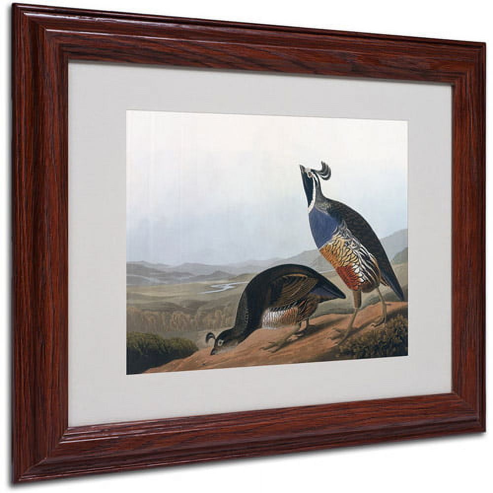 Trademark Fine Art "Californian Partridge" Canvas Art by John James Audubon, Wood Frame