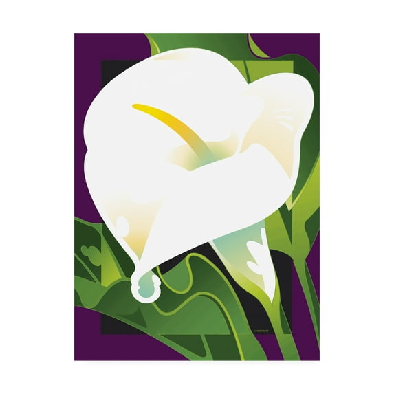 Trademark Fine Art 'Calla Lily ' Canvas Art by David Chestnutt