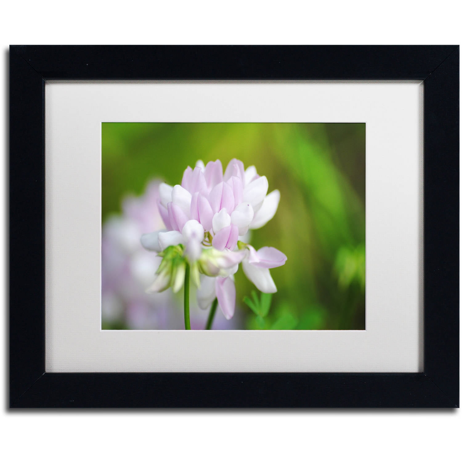 Trademark Fine Art "Calm Heart" Canvas Art by Monica Mize, White Matte, Black Frame