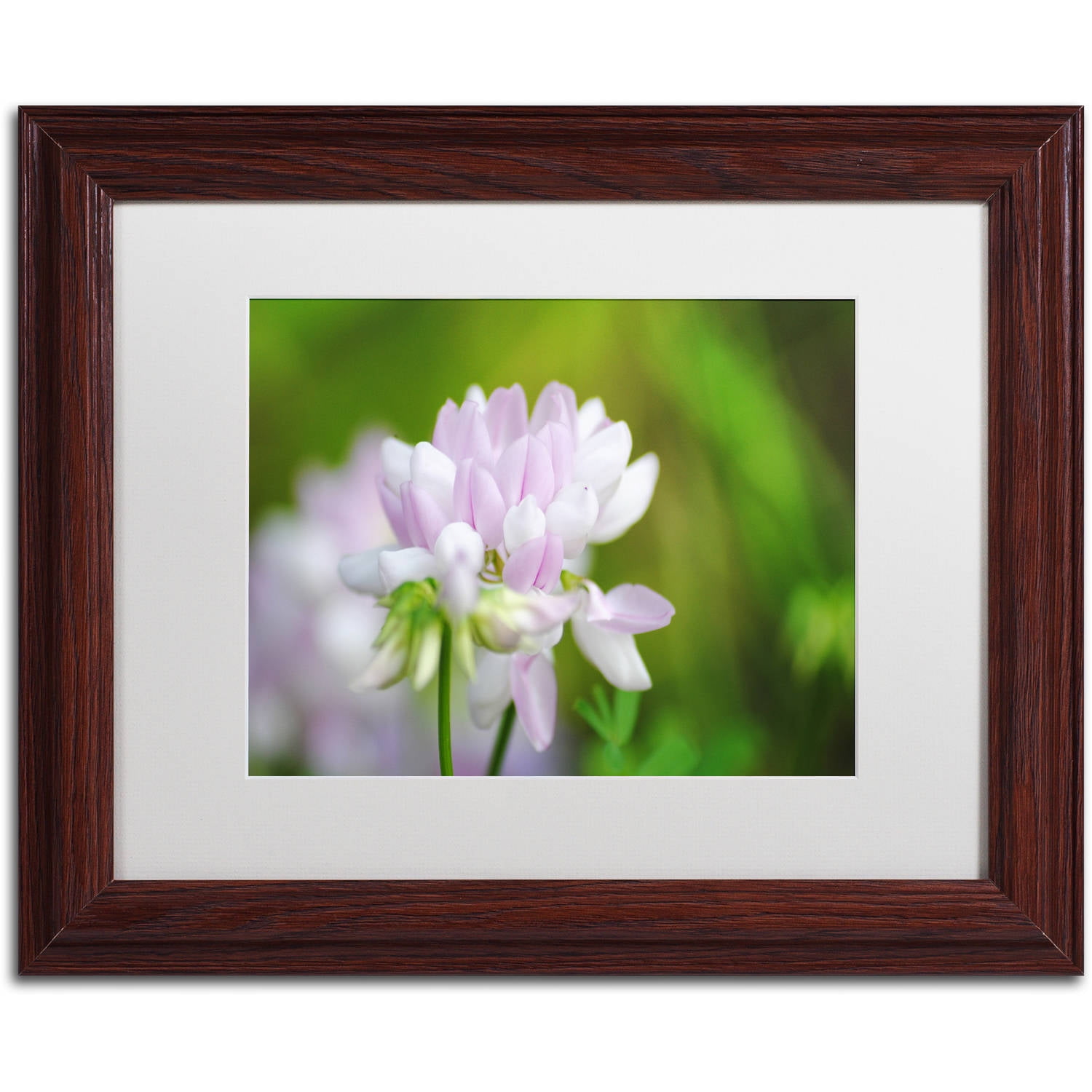 Trademark Fine Art "Calm Heart" Canvas Art by Monica Mize, White Matte, Wood Frame